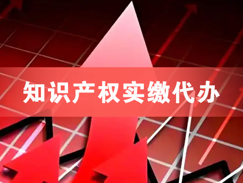 岳阳知识产权实缴资本代办